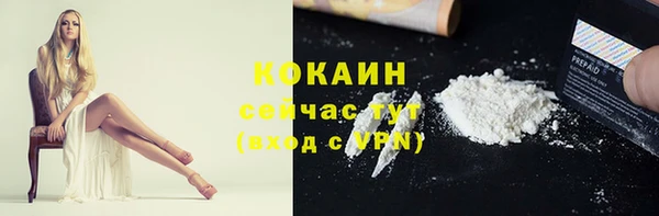 шишки Балабаново