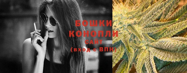 шишки Балабаново