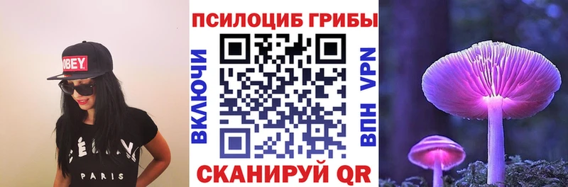 Псилоцибиновые грибы Cubensis  Белёв 
